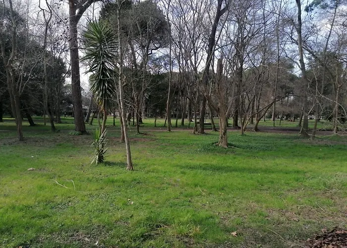 La Casina Giramondo Di Ele Будинок відпочинку В'яреджо